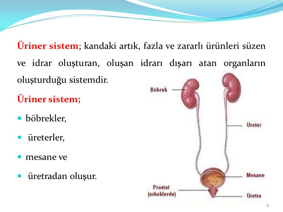 Titreşimli Yumurta