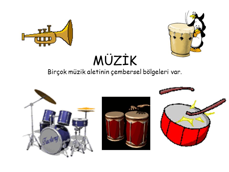 MÜZİK Birçok müzik aletinin çembersel bölgeleri var.