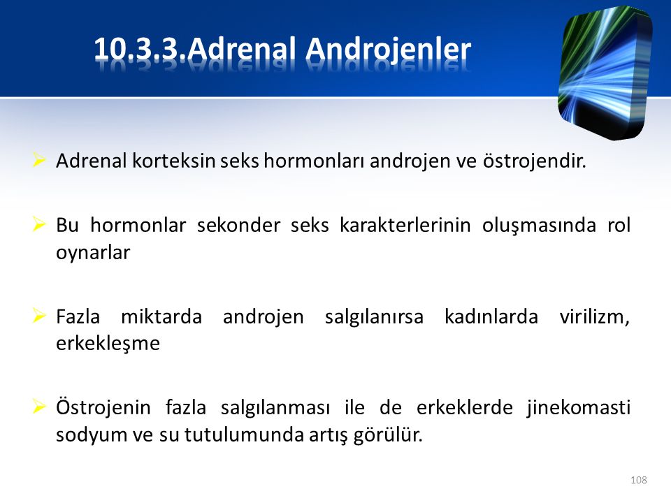Adrenal Androjenler Adrenal korteksin seks hormonları androjen ve östrojendir.