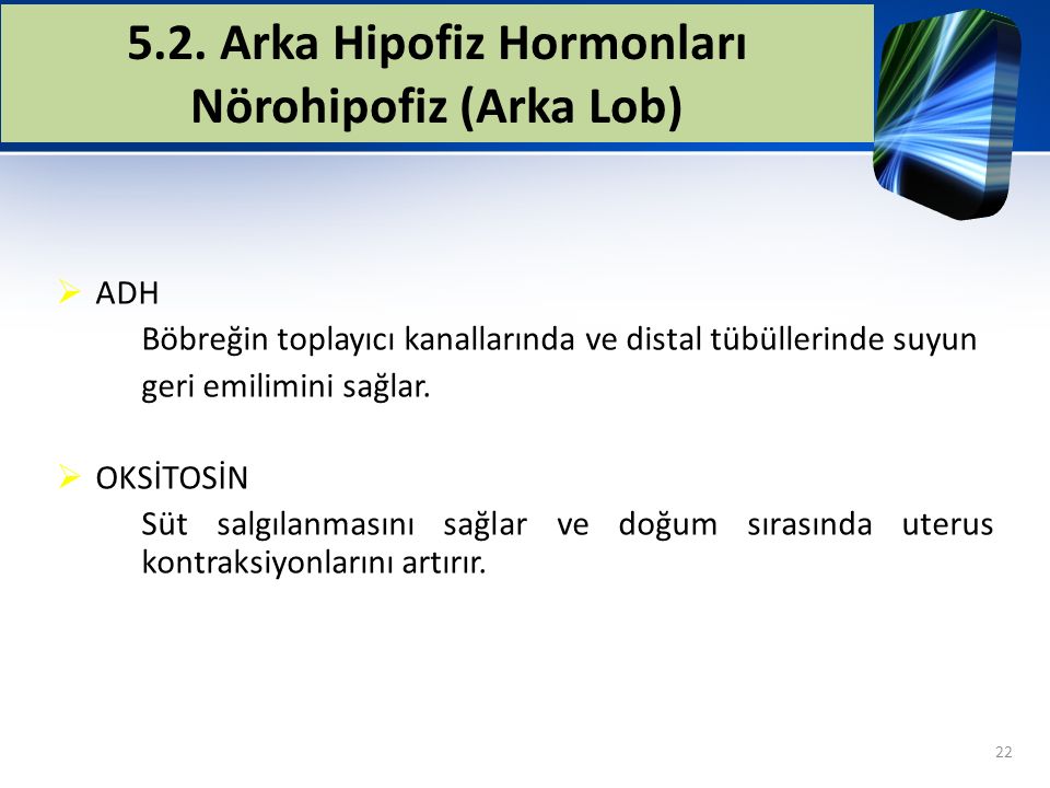 5.2. Arka Hipofiz Hormonları Nörohipofiz (Arka Lob)