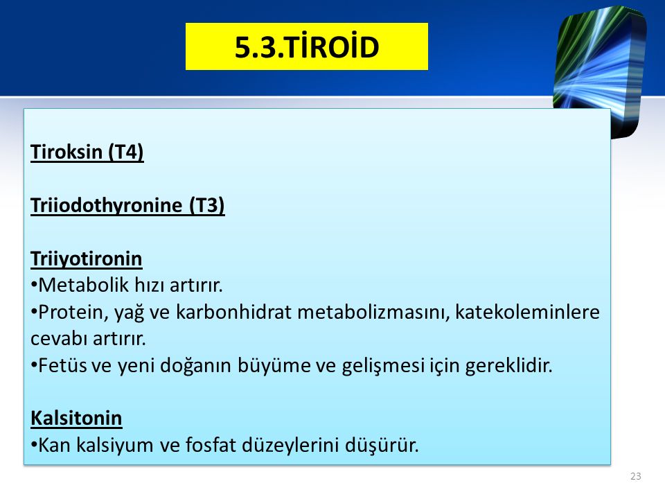 5.3.TİROİD Tiroksin (T4) Triiodothyronine (T3) Triiyotironin