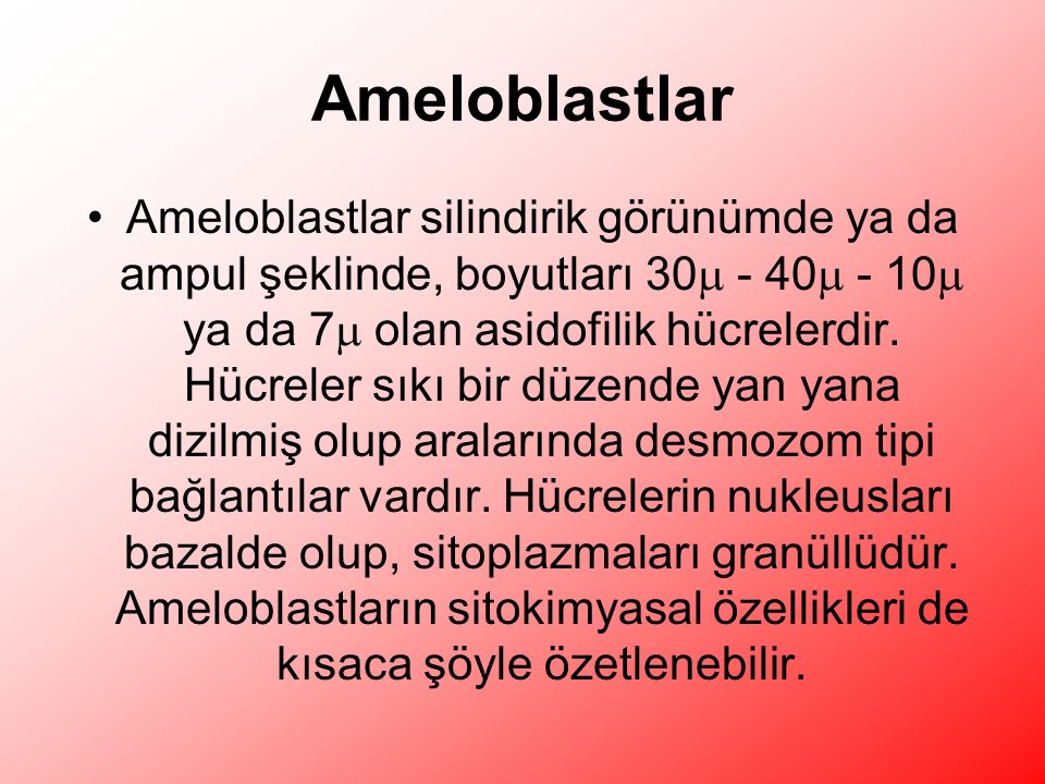 Ameloblastlar