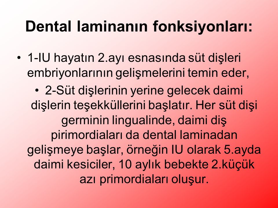 Dental laminanın fonksiyonları: