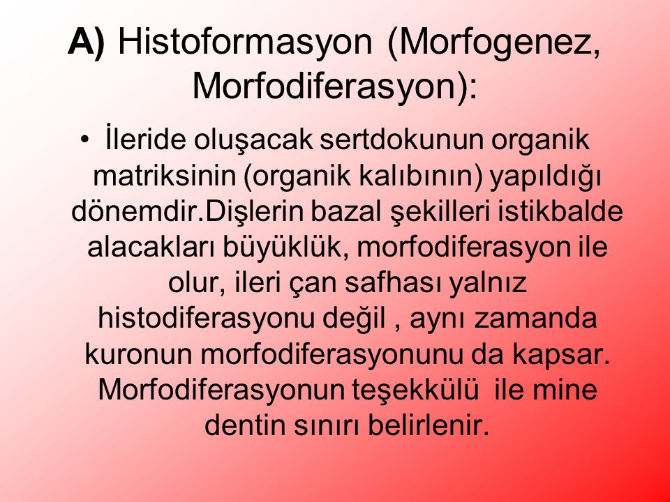 A) Histoformasyon (Morfogenez, Morfodiferasyon):