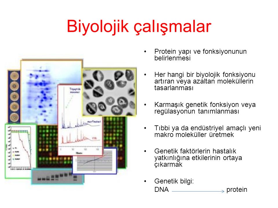 Biyolojik çalışmalar Protein yapı ve fonksiyonunun belirlenmesi