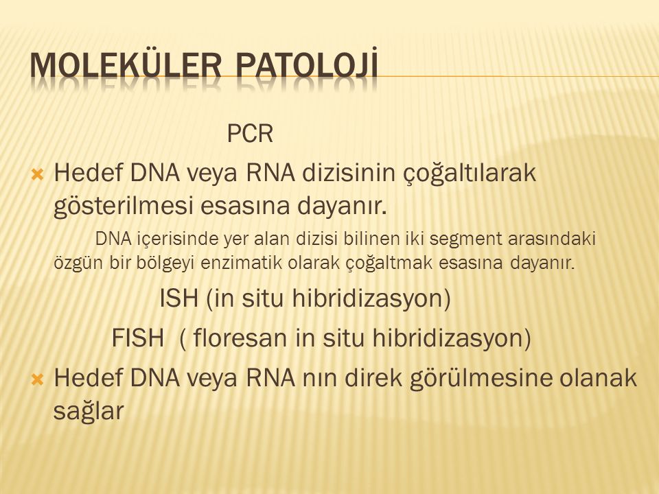 MOLEKÜLER PATOLOJİ PCR