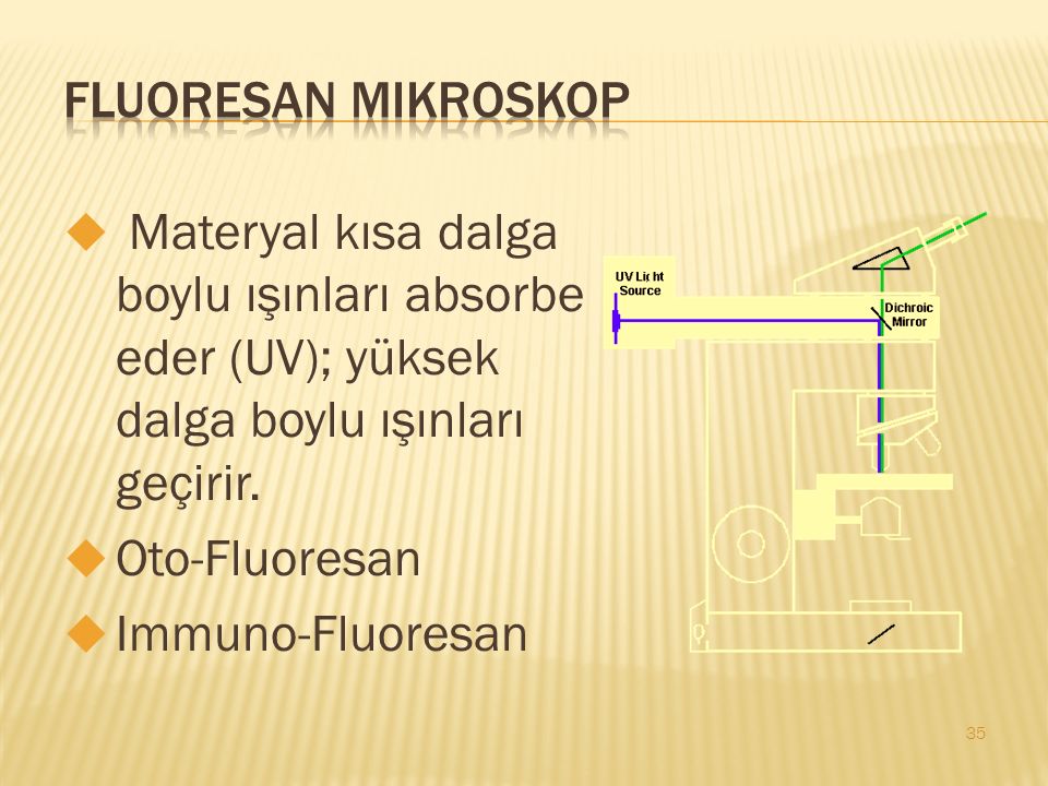 Fluoresan Mikroskop Materyal kısa dalga boylu ışınları absorbe eder (UV); yüksek dalga boylu ışınları geçirir.