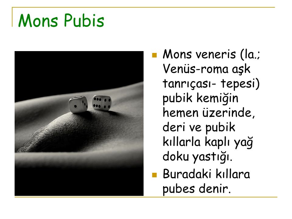 Mons Pubis Mons veneris (la.