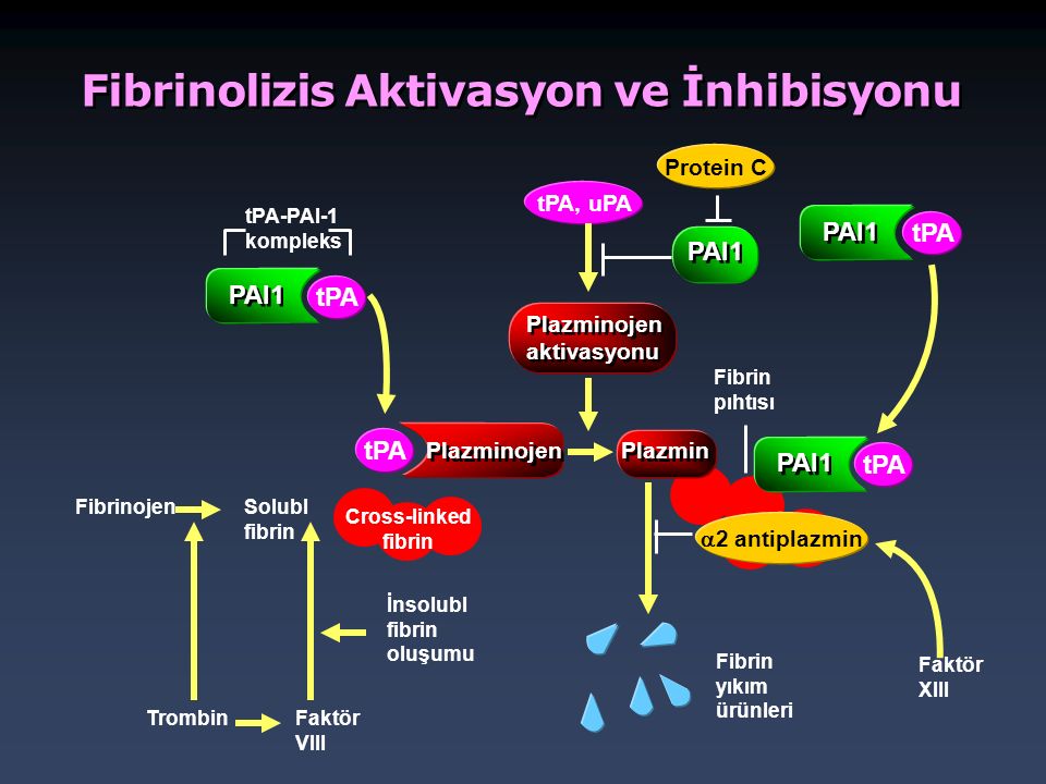 Pai 1 5g 5g. TPA-pai-1. Pai-1. Fibrinoliz reaksiyallari. Tromboplastin yoki Trombin Kabi preparatlarni harid qilish.