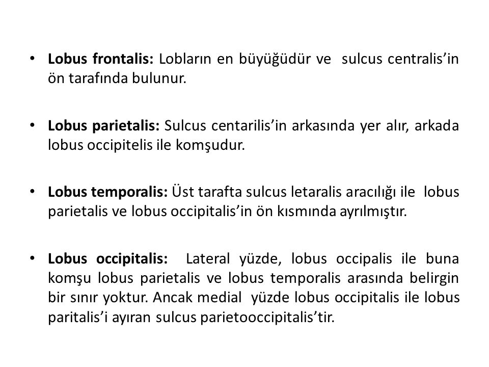 Lobus frontalis: Lobların en büyüğüdür ve sulcus centralis’in ön tarafında bulunur.