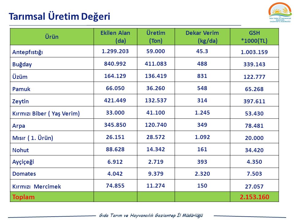 Türkiye Çanakkale Biga Ofis Grup Porno