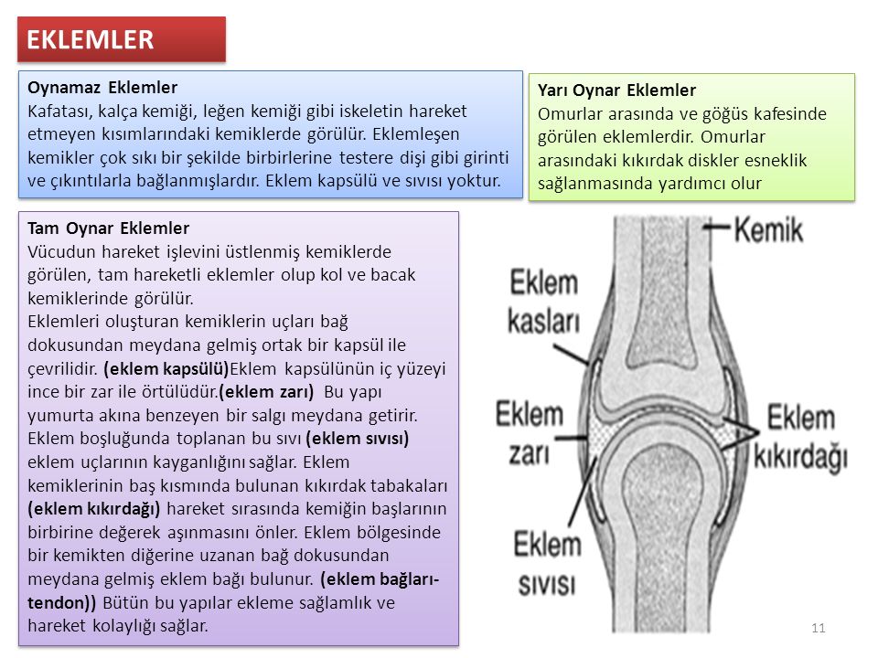 Türkçe Muhabbet Capraz Bacak